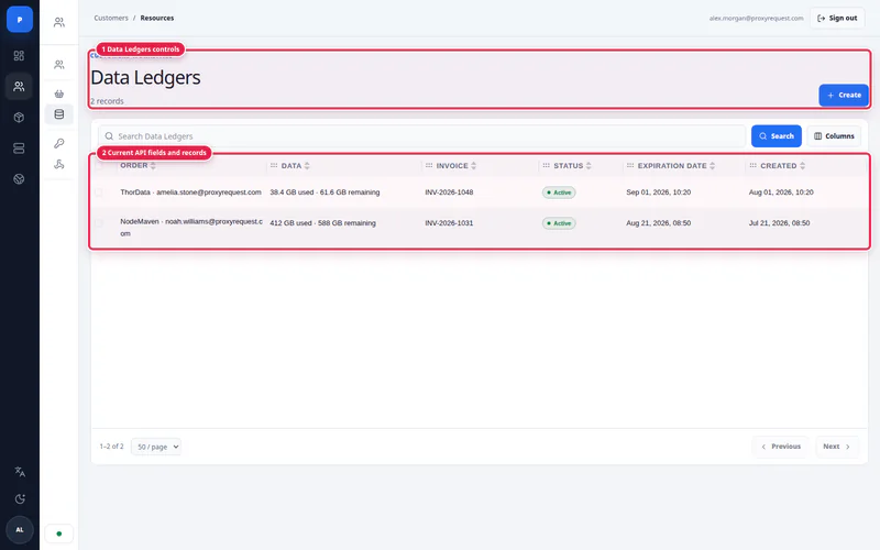 ProxyRequest operator data ledger showing auditable usage and balance operations